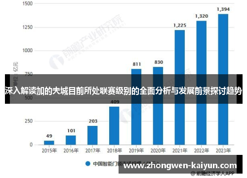 深入解读加的夫城目前所处联赛级别的全面分析与发展前景探讨趋势