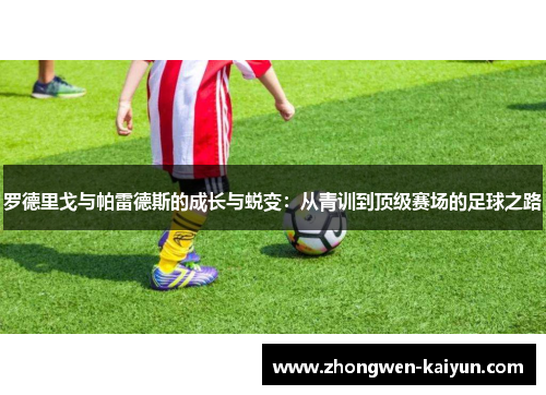 罗德里戈与帕雷德斯的成长与蜕变：从青训到顶级赛场的足球之路