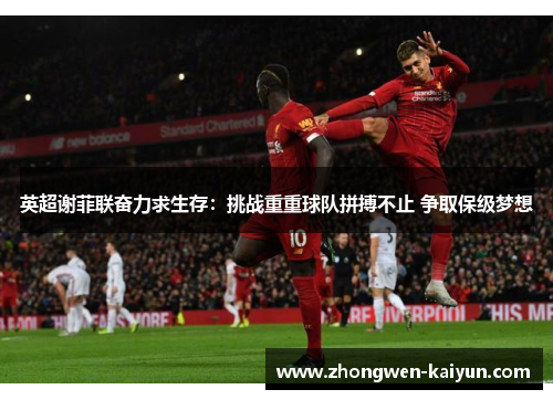 英超谢菲联奋力求生存：挑战重重球队拼搏不止 争取保级梦想